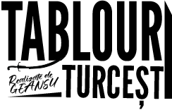 Tablouri Turcești Logo